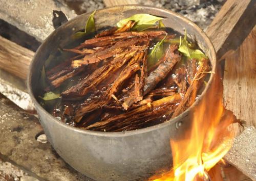 Ayahuasca Retreat Peru