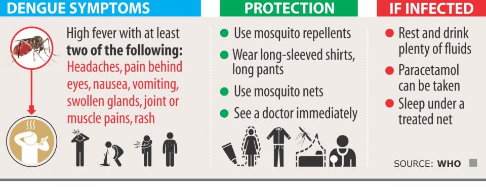 Dengue fever protection and treatment