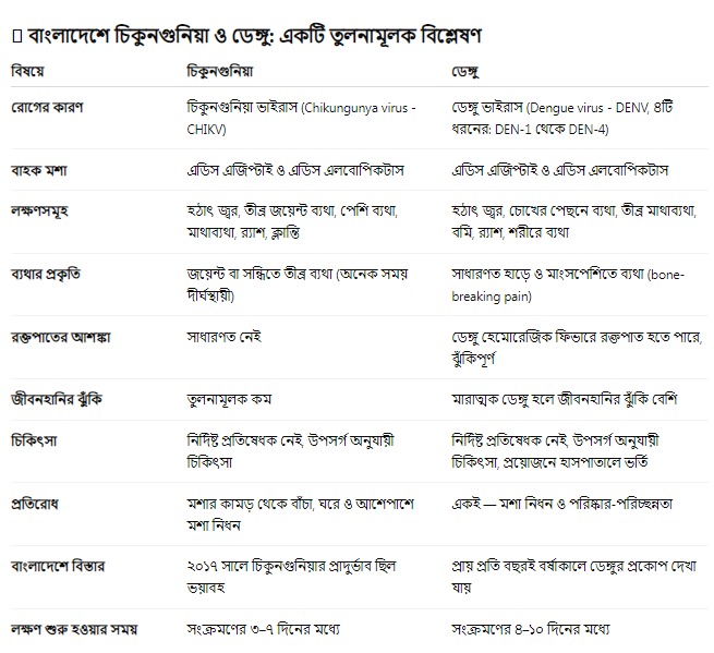 dengue-chikunguna-in-Bangladesh