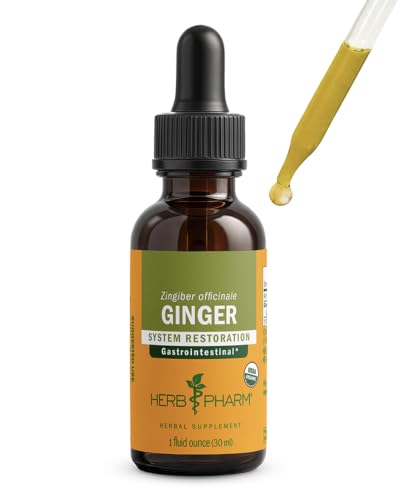 Herb Pharm, Organic Ginger Liquid Extract: Supplement for Digestion, Occasional Nausea Support, Fast-Absorbing Ginger Liquid, Sugar-Free Digestive Support Tincture, Up to ~3 Week Supply, 1 oz*