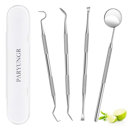 PARYUNGR Dental Tools, Professional Teeth Cleaning Oral Care Hygiene Kit, Stainless Steel