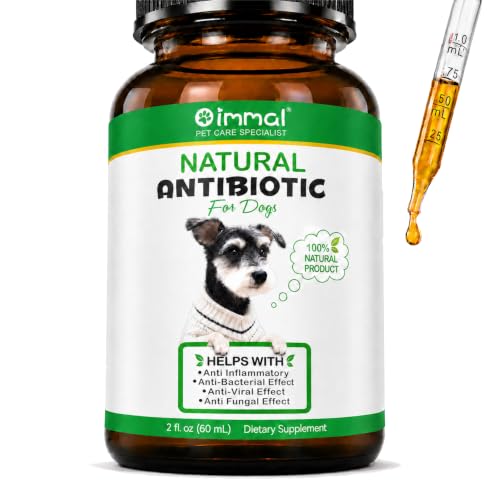 Dog Antibiotic for Infections, UTI, Kennel Cough & Tooth Infection – Natural