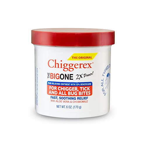 Chiggerex 2X Power Medicated Ointment, Bug Bite Relief, 6 oz | Fast
